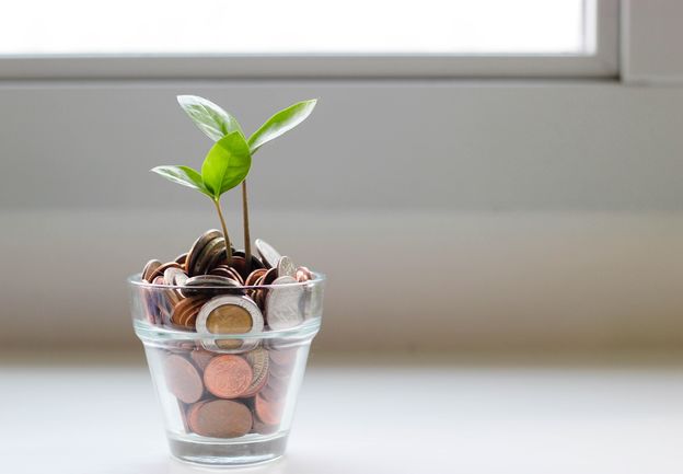 Small plant sprouting from small glass filled with coins